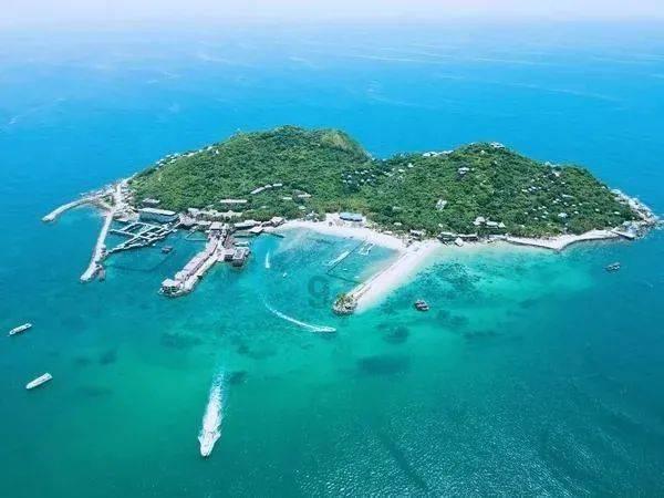 救援深海动物